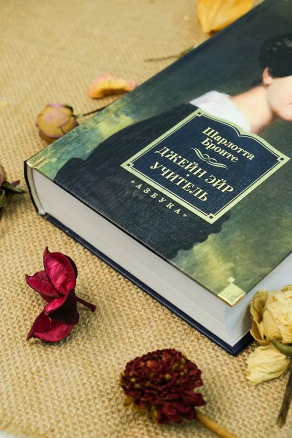 Книга Джейн Эйр. Учитель (Шарлотта Бронте) — 19