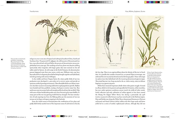 Книга Remarkable plants (Уильям Байнум, Хелен Байнум) — 5