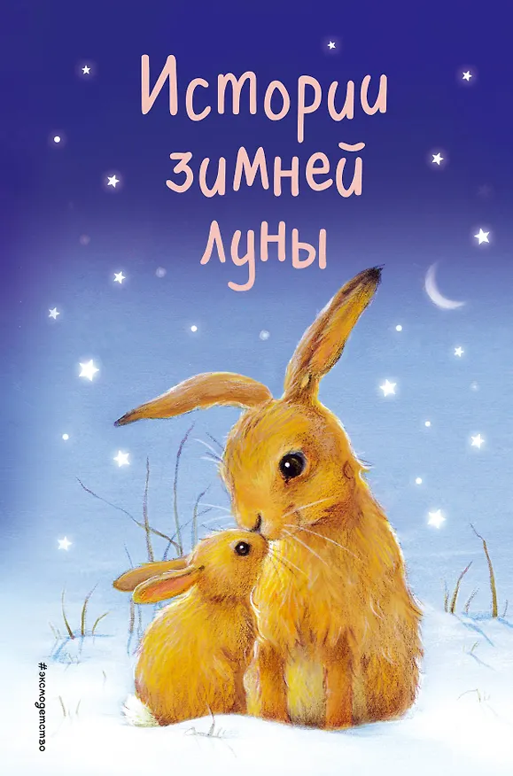 Книга Истории зимней луны (выпуск 5) (Холли Вебб) — 1