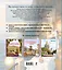 Самые романтичные кафе мира. Раскраски для интровертов — 3158813 — 2