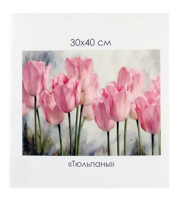 Алмазная мозаика на канве "Тюльпаны" (30*40 см) 3059115 — 2