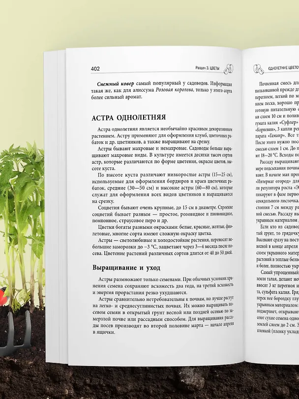 Книга Дачная библия садовода и огородника (новое оформление) (Октябрина Ганичкина, Александр Ганичкин) — 14