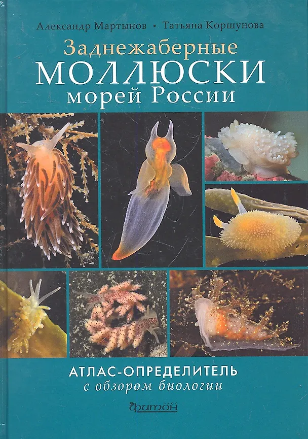 Книга Заднежаберные моллюски морей России. Атлас-определитель с обзором биологии (Александр Мартынов) — 2