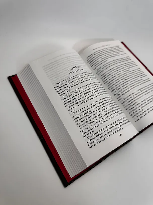 Книга Мария I. Королева печали (Элисон Уэйр) — 13