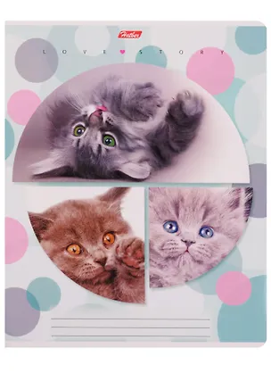 Тетрадь в клетку Hatber, "Веселый горошек", 24 листа, в ассортименте 244043