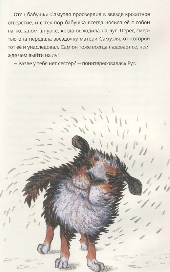 Книга Ночь кометы. Сказочная повесть для детей () — 4