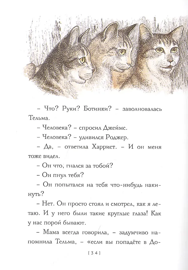 Книга Крылатые кошки (Урсула Ле Гуин) — 2