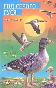 Год серого гуся
