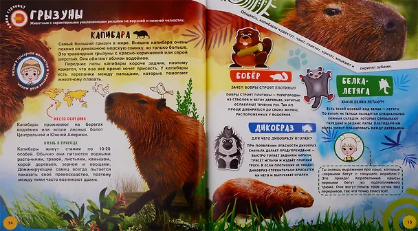 Книга WOW! Животные. WOW! Чудеса света. Энциклопедии в дополненной реальности (Комплект из 2 книг) () — 5
