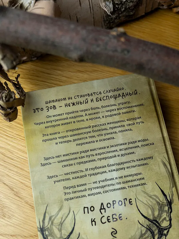Книга По праву Силы. Северный шаманизм. Духи и предки. (Ада) — 20