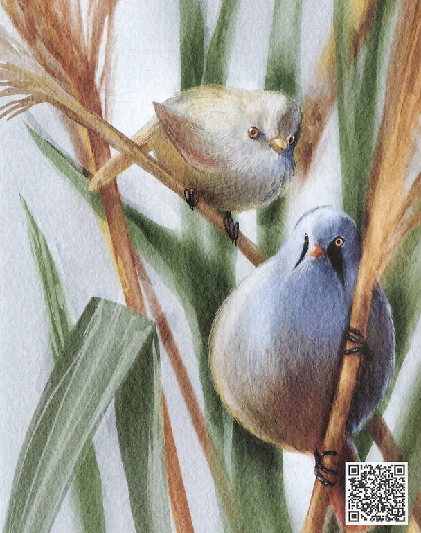 Книга Синицы (Виталий Симуткин) — 5