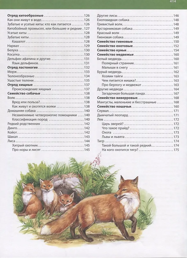Книга Первая энциклопедия животных для маленьких почемучек (Тамара Скиба) — 4