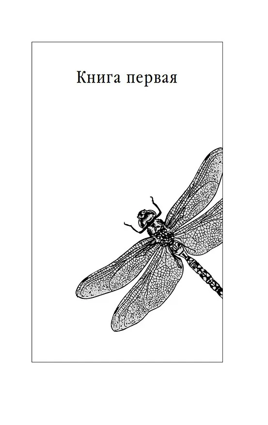 Книга Золотое проклятье (Мэри Уэбб) — 14
