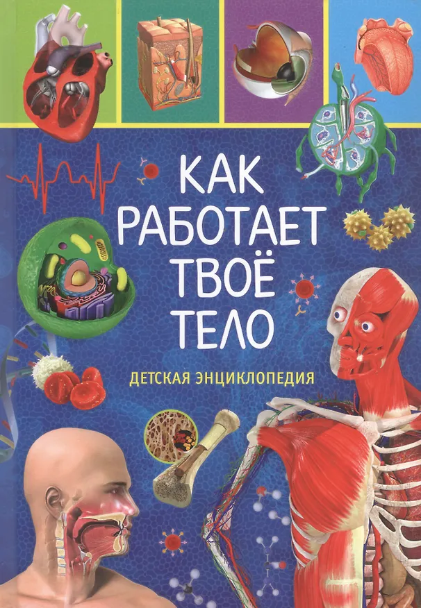 Книга Как работает твоё тело. Детская энциклопедия () — 1