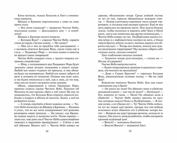 Книга Коты-воители. Первая битва (Эрин Хантер) — 12