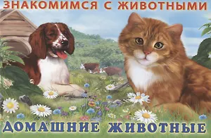 Домашние животные