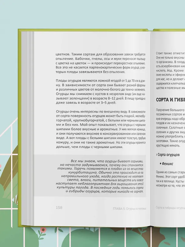 Книга Теплица без ошибок. Все, что нужно знать, чтобы получить ранний и богатый урожай (Виктория Радзевская) — 14