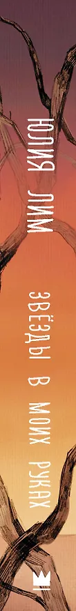 Книга Звёзды в моих руках (Юлия Лим) — 3