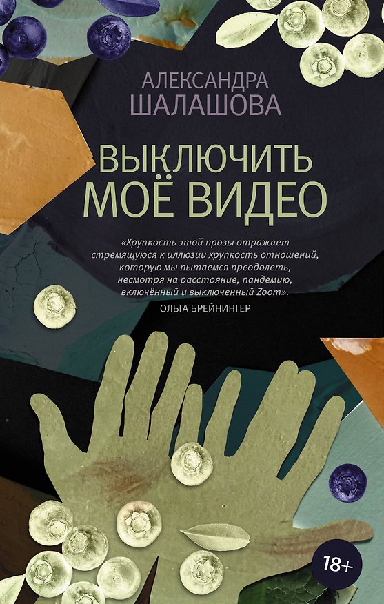 Книга Выключить моё видео (Александра Шалашова) — 1