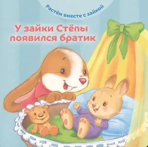 Книга У зайки Степы появился братик (Эндриан Хейменс)