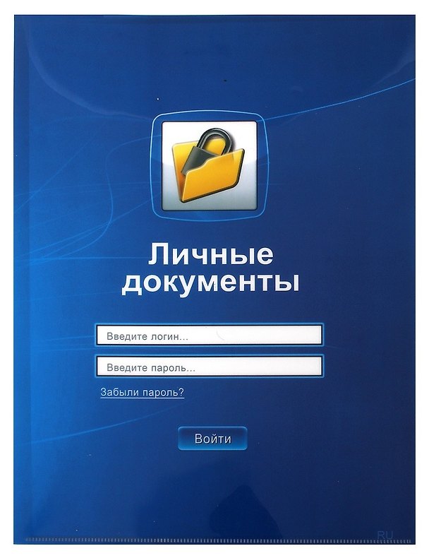 Папка -уголок «Личные документы» 30.8х22 см 2374680 — 1