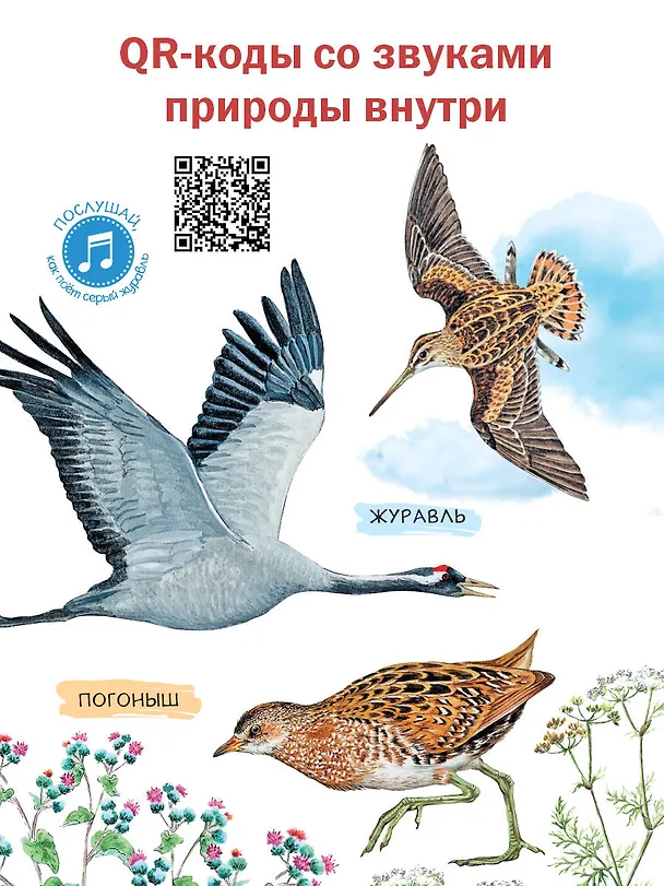 Книга Рассказы о природе (Михаил Пришвин) — 7