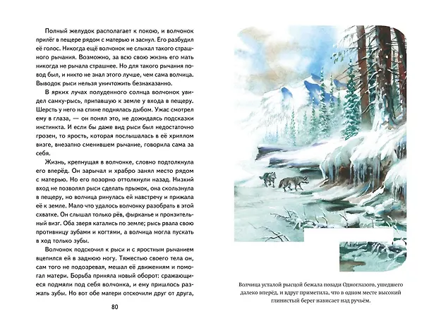 Книга Белый Клык (ил. В. Канивца) (Джек Лондон) — 12