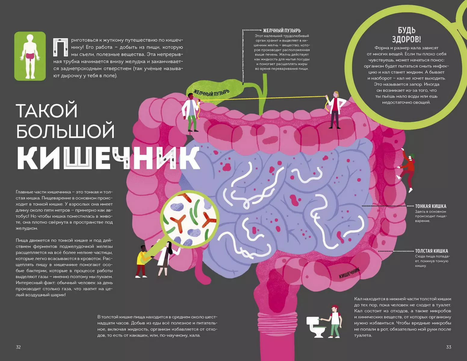 Тело человека. Как работает наш удивительный организм (Макс Пембертон) -  купить книгу с доставкой в интернет-магазине «Читай-город». ISBN:  978-5-00195-013-4