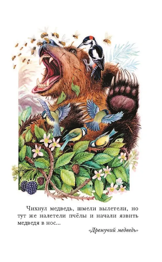 Книга Тёплый хлеб. Сказки и рассказы (Константин Паустовский) — 17