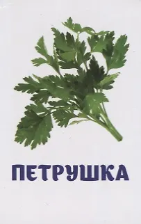 Книга Овощи и зелень. Развивающие карточки () — 2