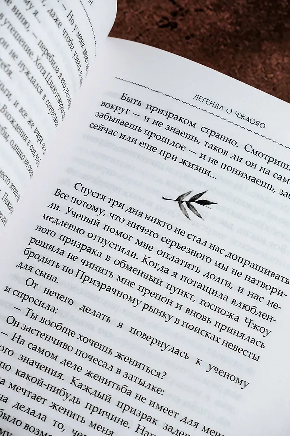 Книга Легенда о Чжаояо. Книга 2 (Цзюлу Фэйсян) — 16