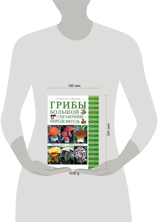 Книга Грибы : большой справочник-определитель (Александр Матанцев) — 2