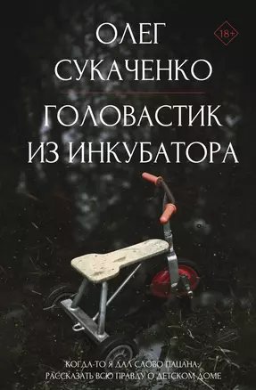 Головастик из инкубатора. Когда-то я дал слово пацана: рассказать всю правду о детском доме — 3030463 — 1