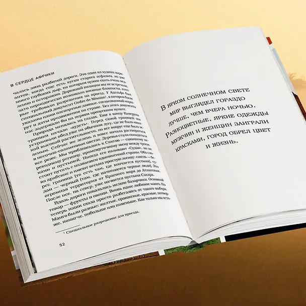 Книга В сердце Африки. Незабываемое приключение русских, отправившихся по самым нетуристическим местам Африки и задержанных по подозрению в шпионаже (Алексей Камерзанов) — 9