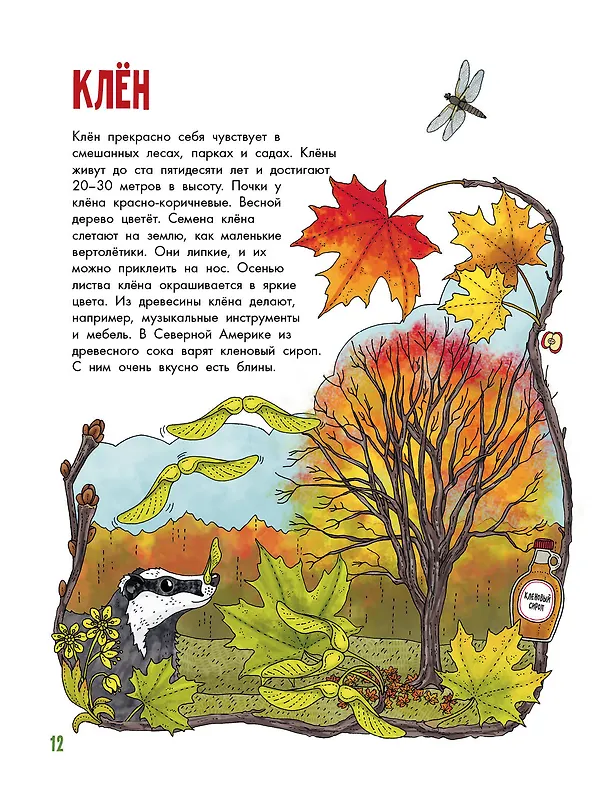 Книга Деревья (Эмма Янссон) — 5