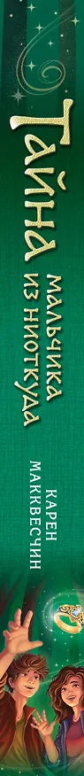 Книга Тайна мальчика из ниоткуда (Карен Макквесчин) — 4