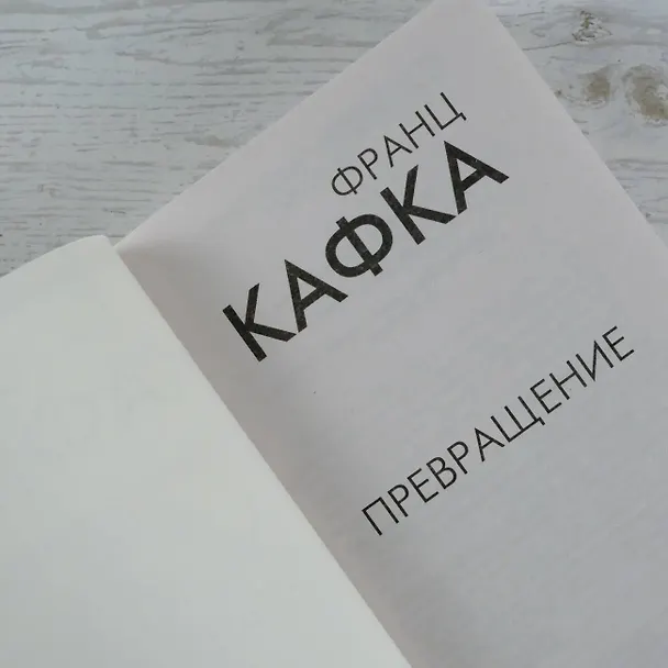 Книга Превращение (Франц Кафка) — 9