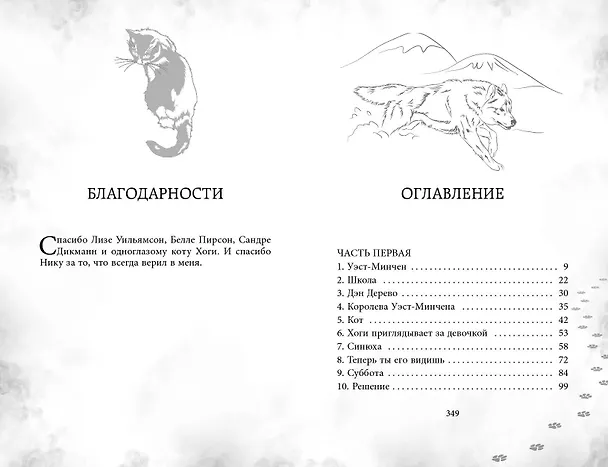 Книга Мэгги Блу и Тёмный мир (Анна Гудолл) — 11
