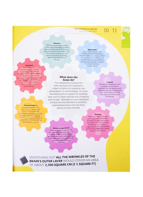 Книга How the Brain Works () — 6