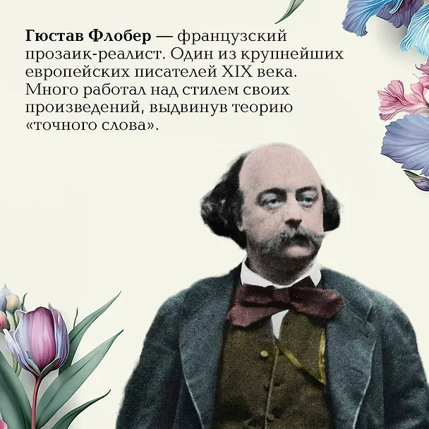 Книга Госпожа Бовари (Гюстав Флобер) — 11