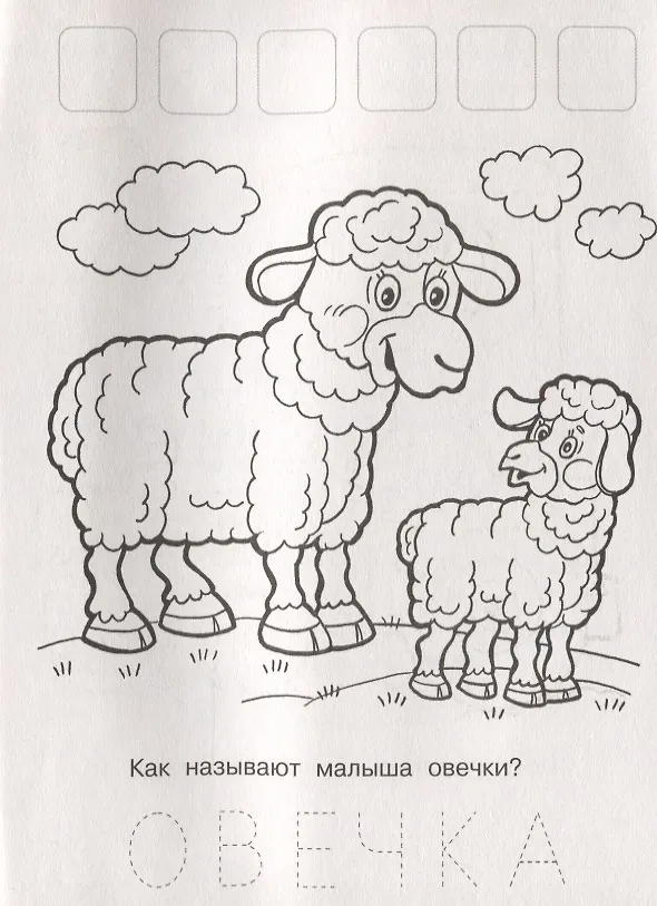 Книга Напиши. Наклей. Раскрась (Лисичка) () — 4