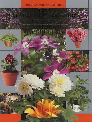 Книга Все о комнатных растениях, цветах, декоративных кустарниках ()