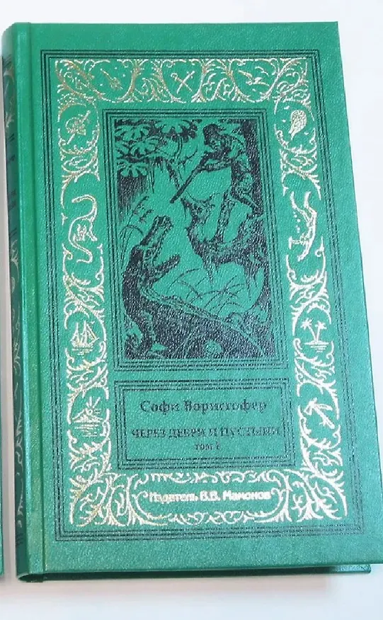 Книга Через дебри и пустыни. Том 1 (Софи Ворисгофер) — 8