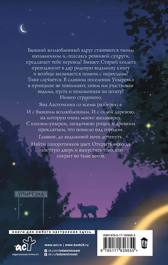 Книга Ведьмина ночь (Карина Демина) — 2