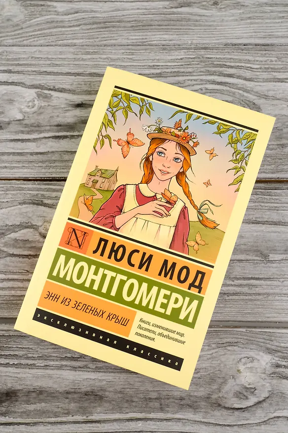 Книга Энн из Зеленых Крыш (Люси Мод Монтгомери) — 8