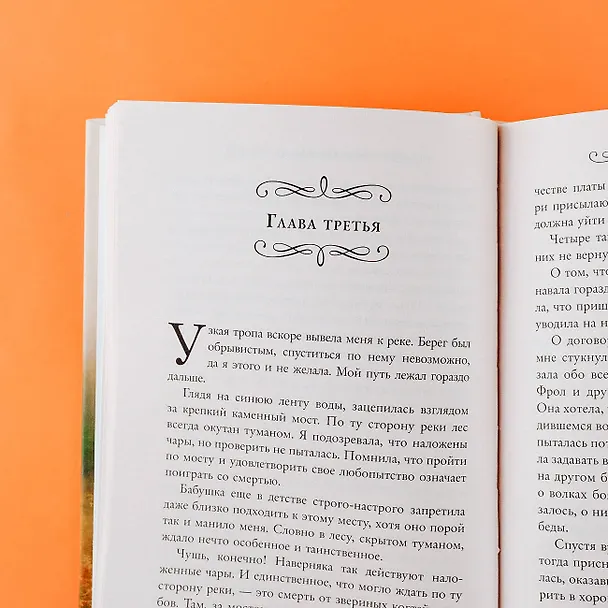 Книга Волк для ведьмы (Ольга Шерстобитова) — 8