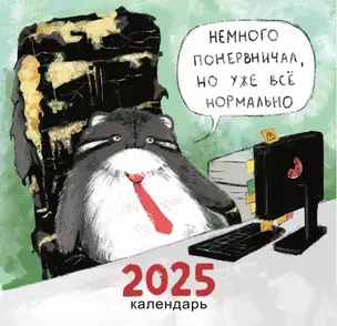 Календарь 2025г 300*290 "Немного психанул" настенный, на скрепке — 3057798 — 1