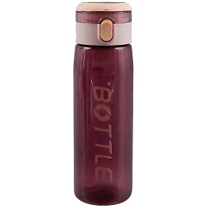 Бутылка Bottle (пластик) (550мл) (12-7306-802-550)