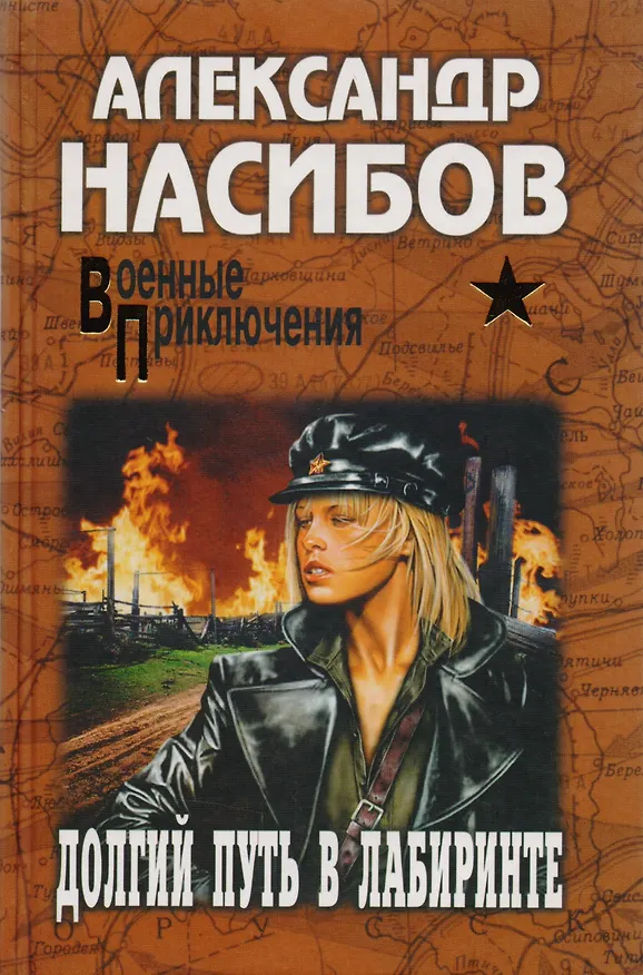 Книга Долгий путь в лабиринте : роман (Александр Насибов) — 2