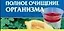 Полное очищение организма — 2085247 — 1